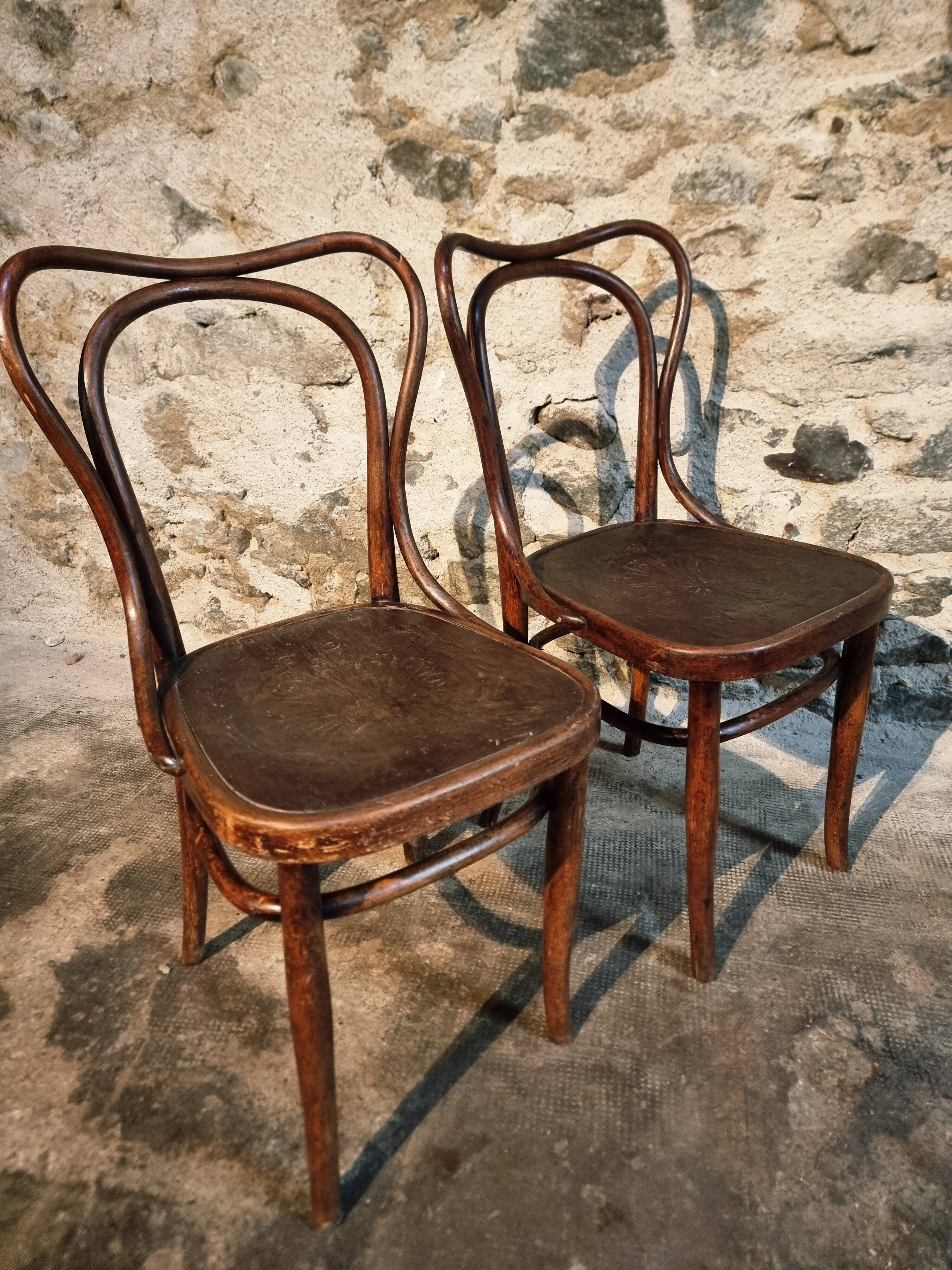 Pair of curved wooden chairs by Jacob & Josef Kohn, Vienna circa 1900