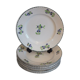 10 flat plates in Iron earth blueberry décor
