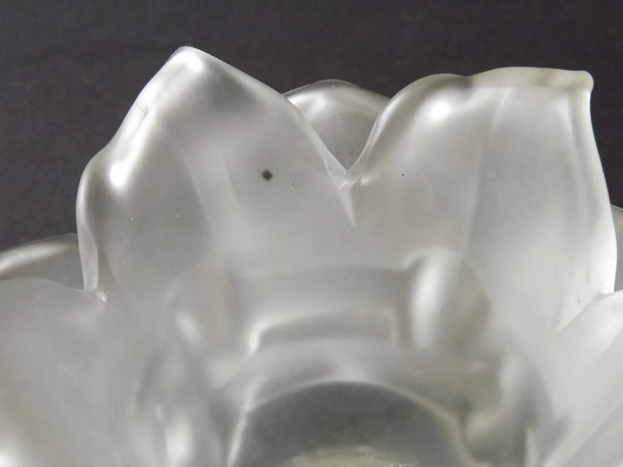 Vintage Art Deco Frosted Satin Glass Rose Flower Lamp Shade