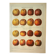 Botanical engraving - 1921 - Cider apple - Lithograph, variety plate