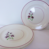 Set of 4 vintage porcelain dinner plates from the Salins factory