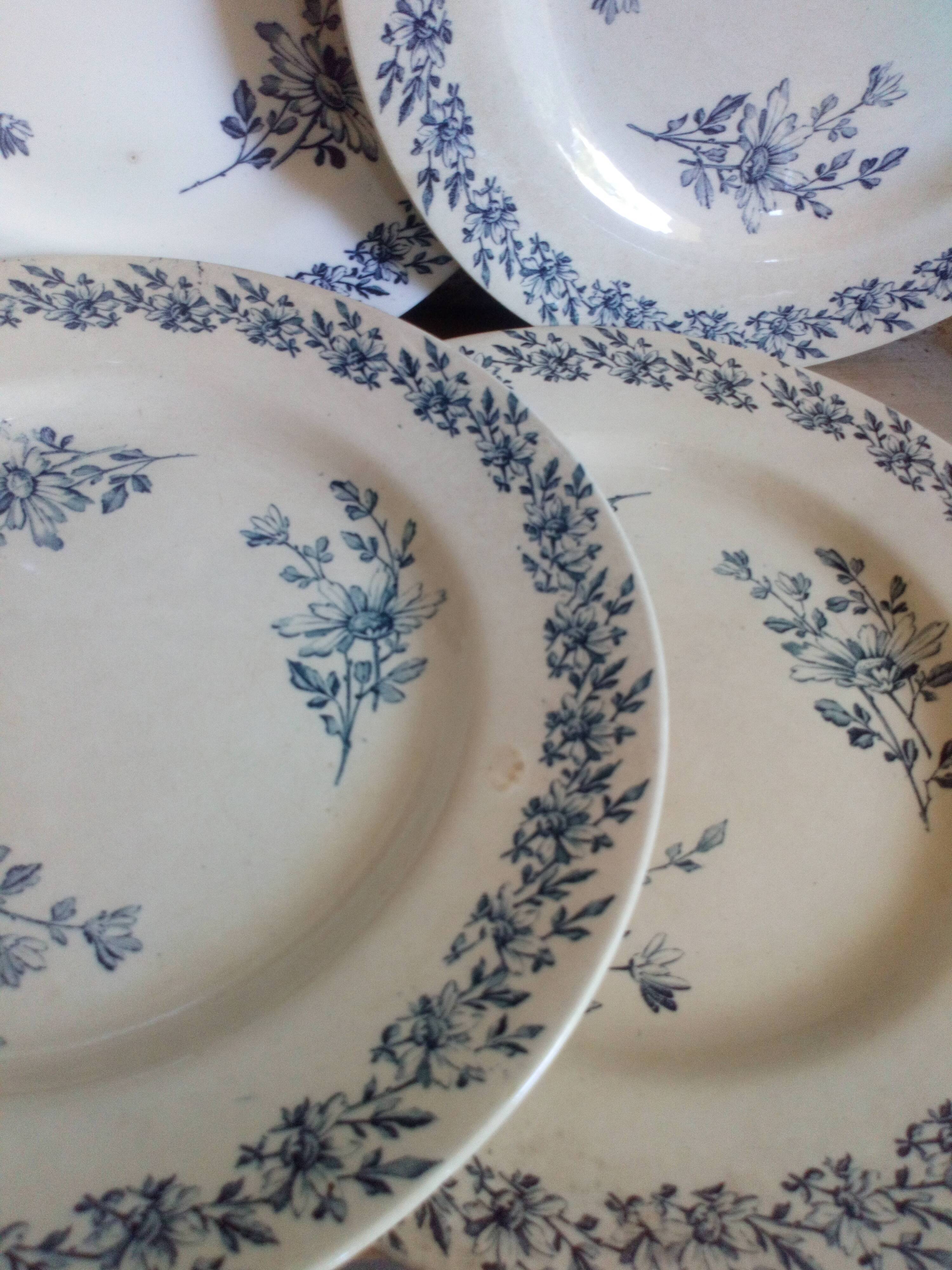 Six old plates made of lednéville iron soil from the "paquerette" sevice