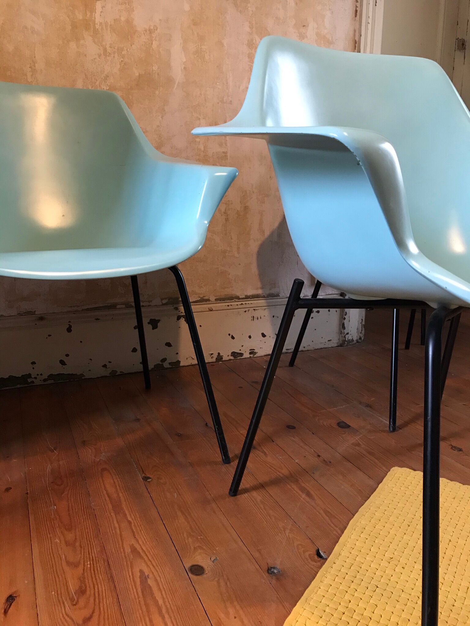 Pierre Guariche's Vampire 4 chair, edition "Maison du Monde"