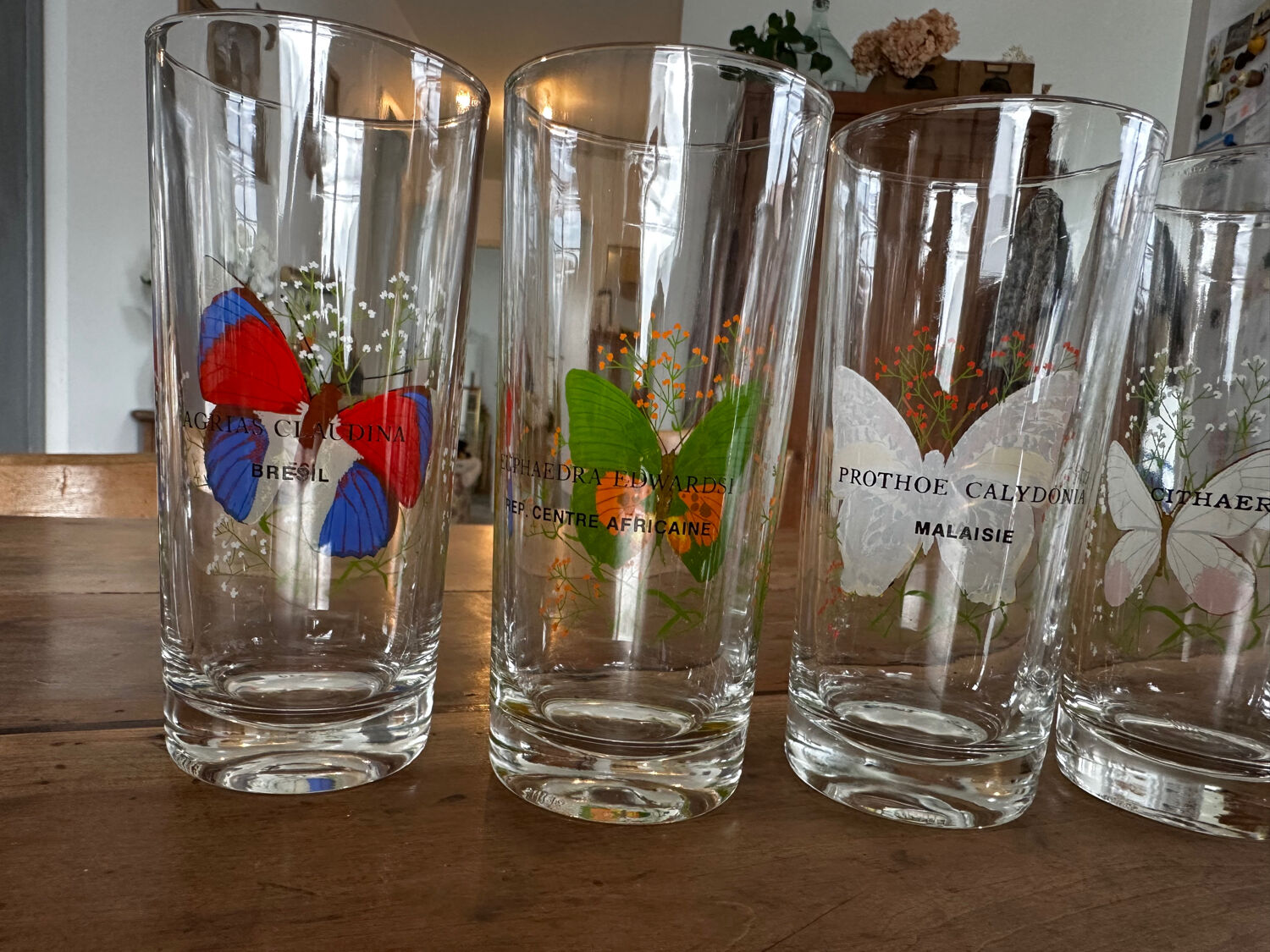 Set of 6 vintage glasses with butterfly decoration – 70s/80s