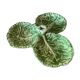 Flat slurry cabbage leaves