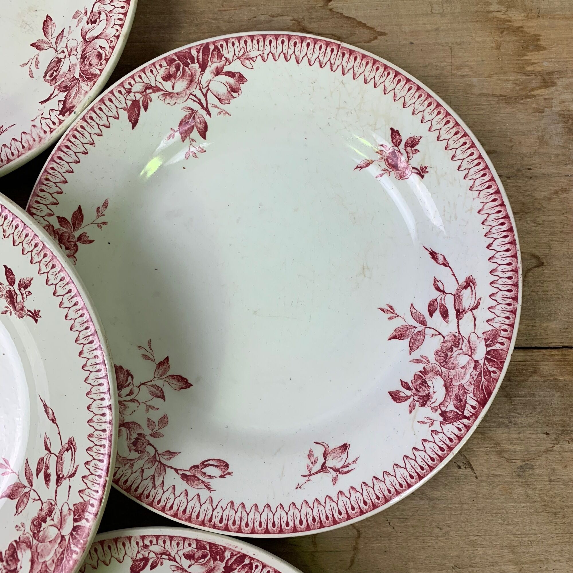 Lot of 6 plates in porcelain of Gien model Pomponnette