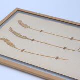 George Bert Herbarium