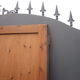Paire de portes d'armoire