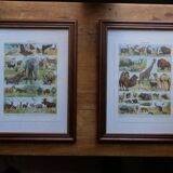 Original lithograph on fish