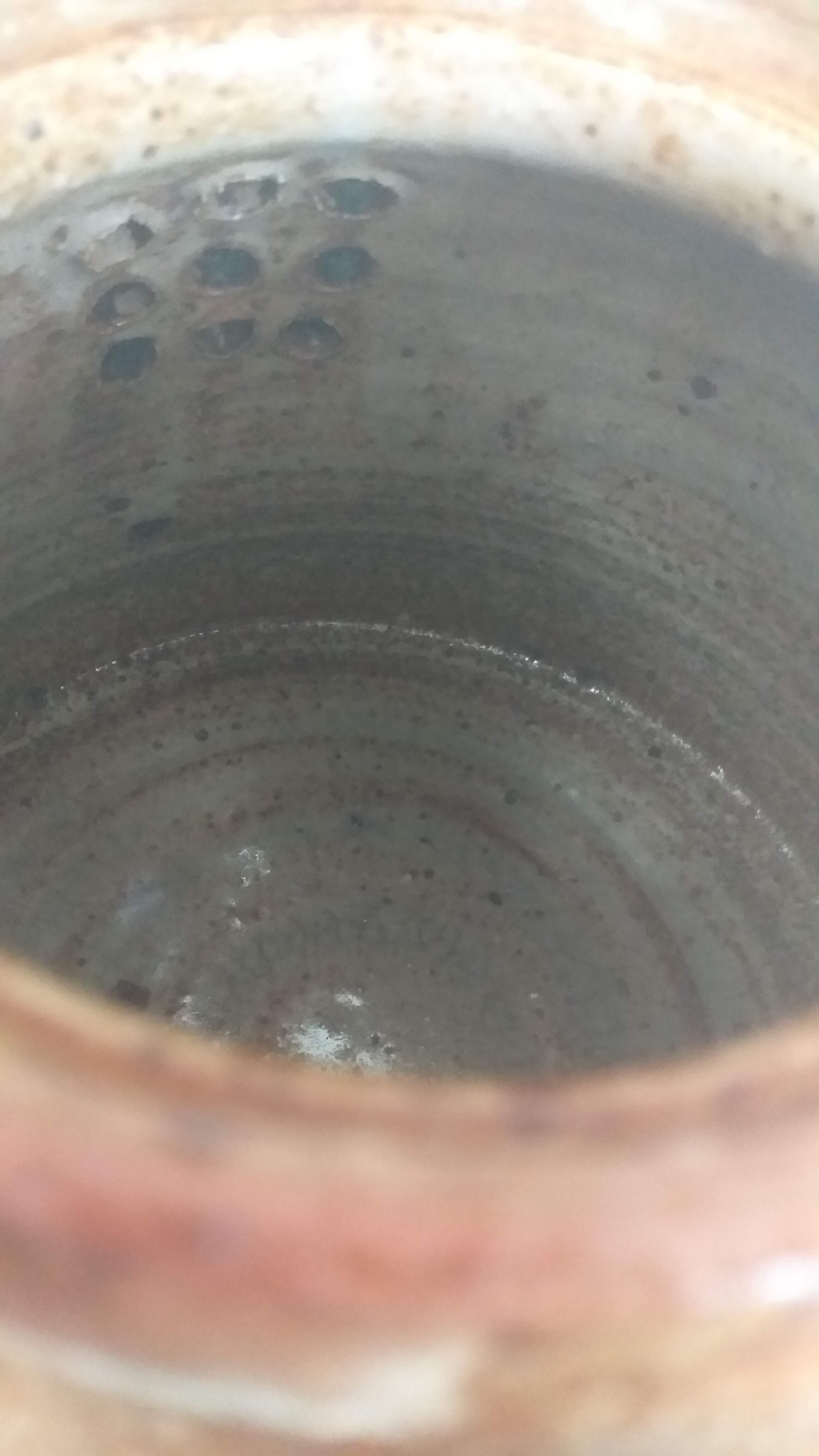 Herbarium sandstone teapot