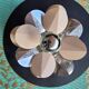 Vintage flower wall light