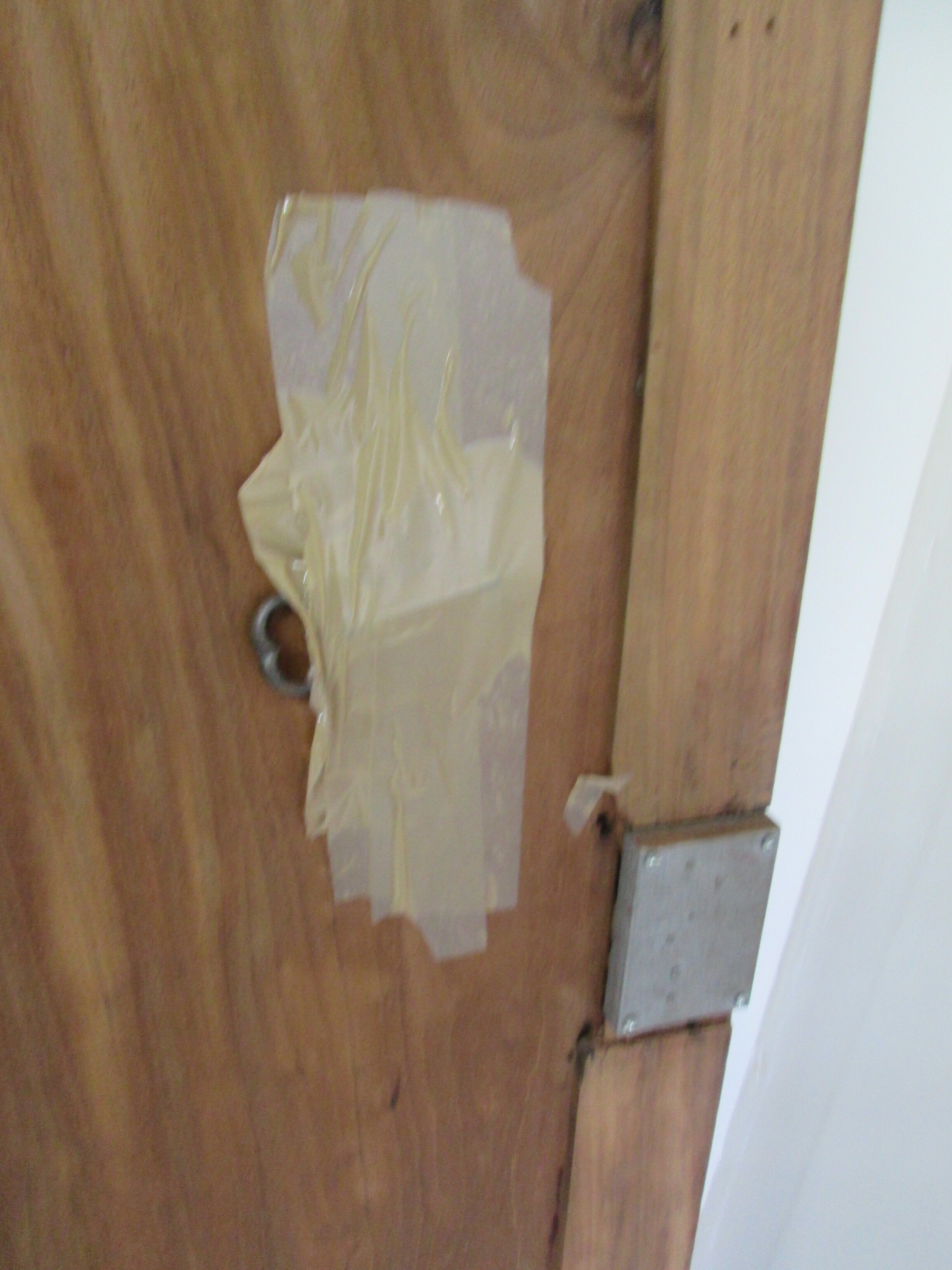 Pair of mahogany doors