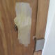 Pair of mahogany doors