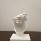 Plaster head