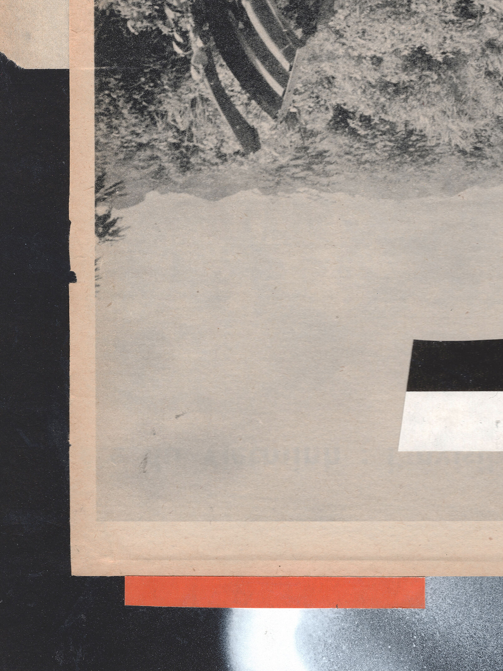 Untitled collage Flamin