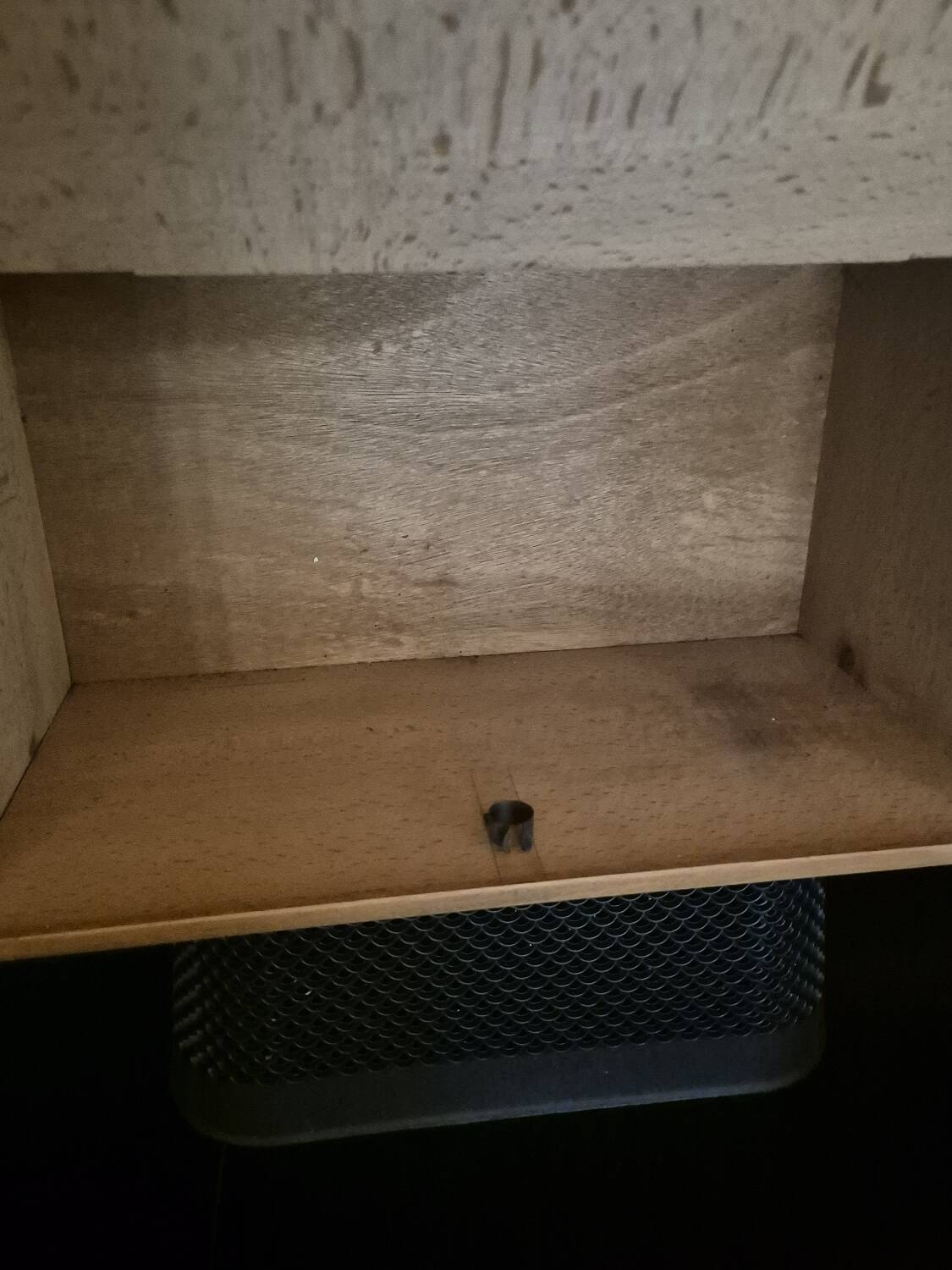 Vintage wall cupboard