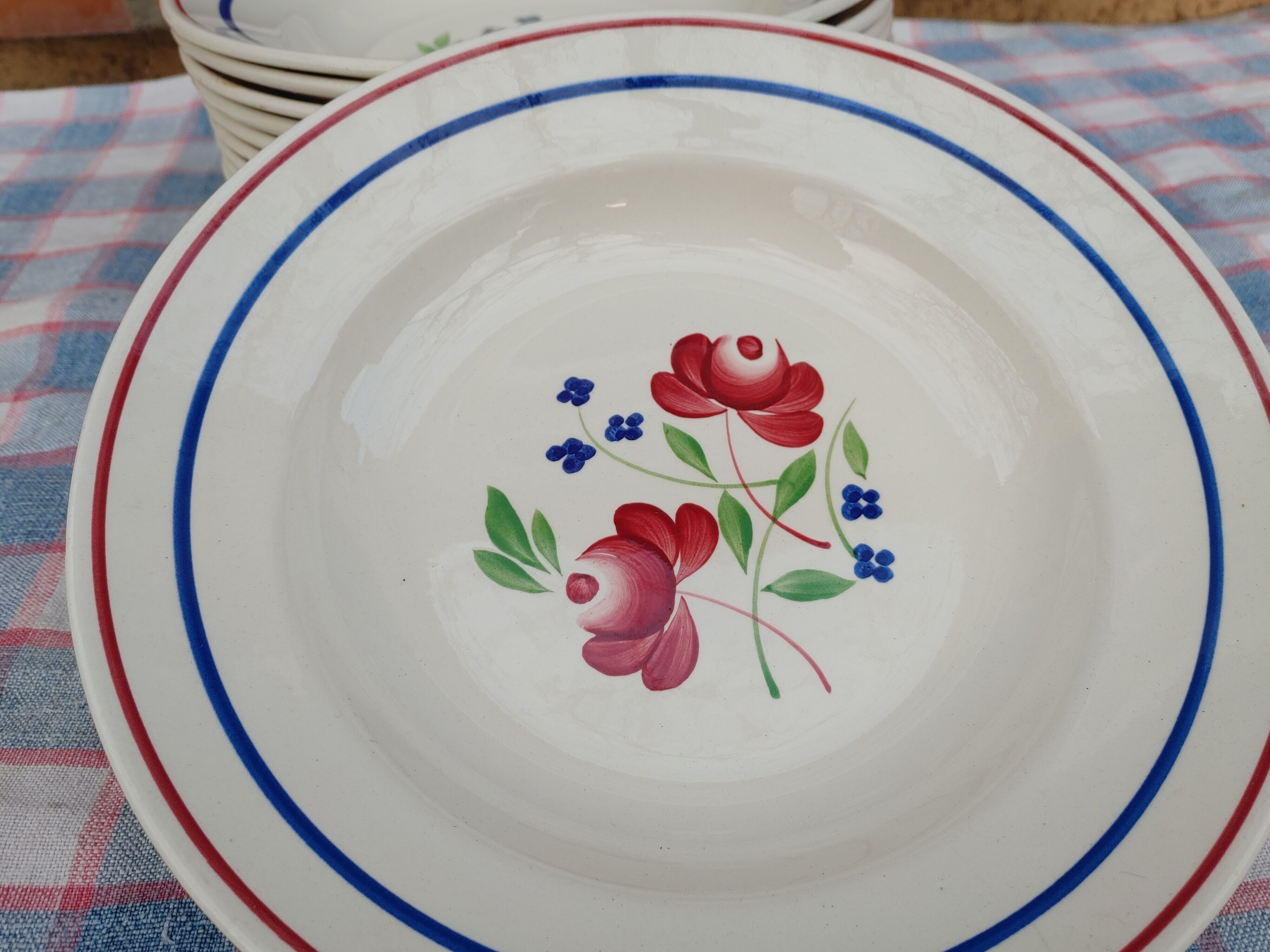 11 Deep Plates “Lunéville” Bagatelle model, Floral decoration Ø 23 cm