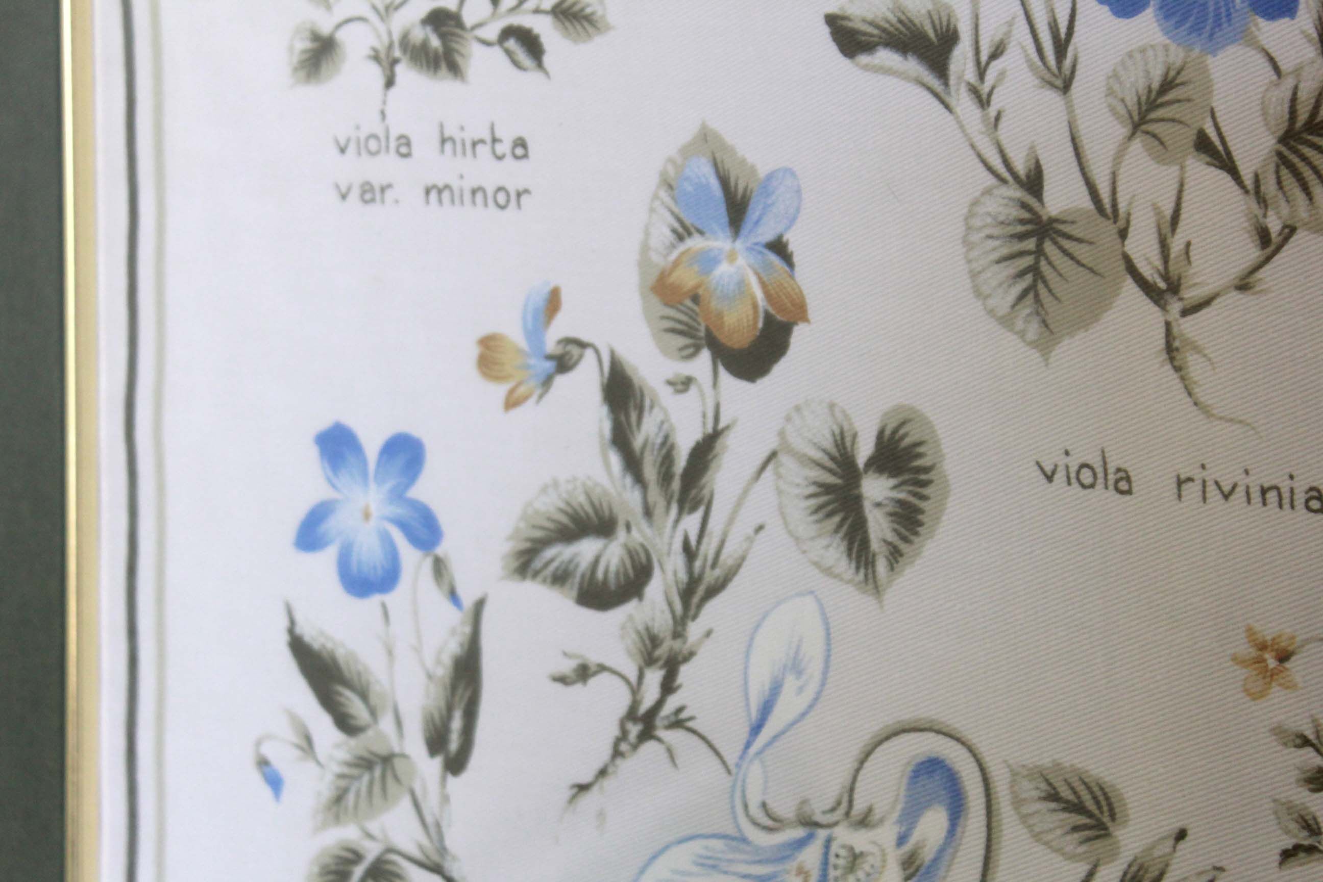 1960s vintage violets flowers chart poster