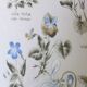1960s vintage violets flowers chart poster