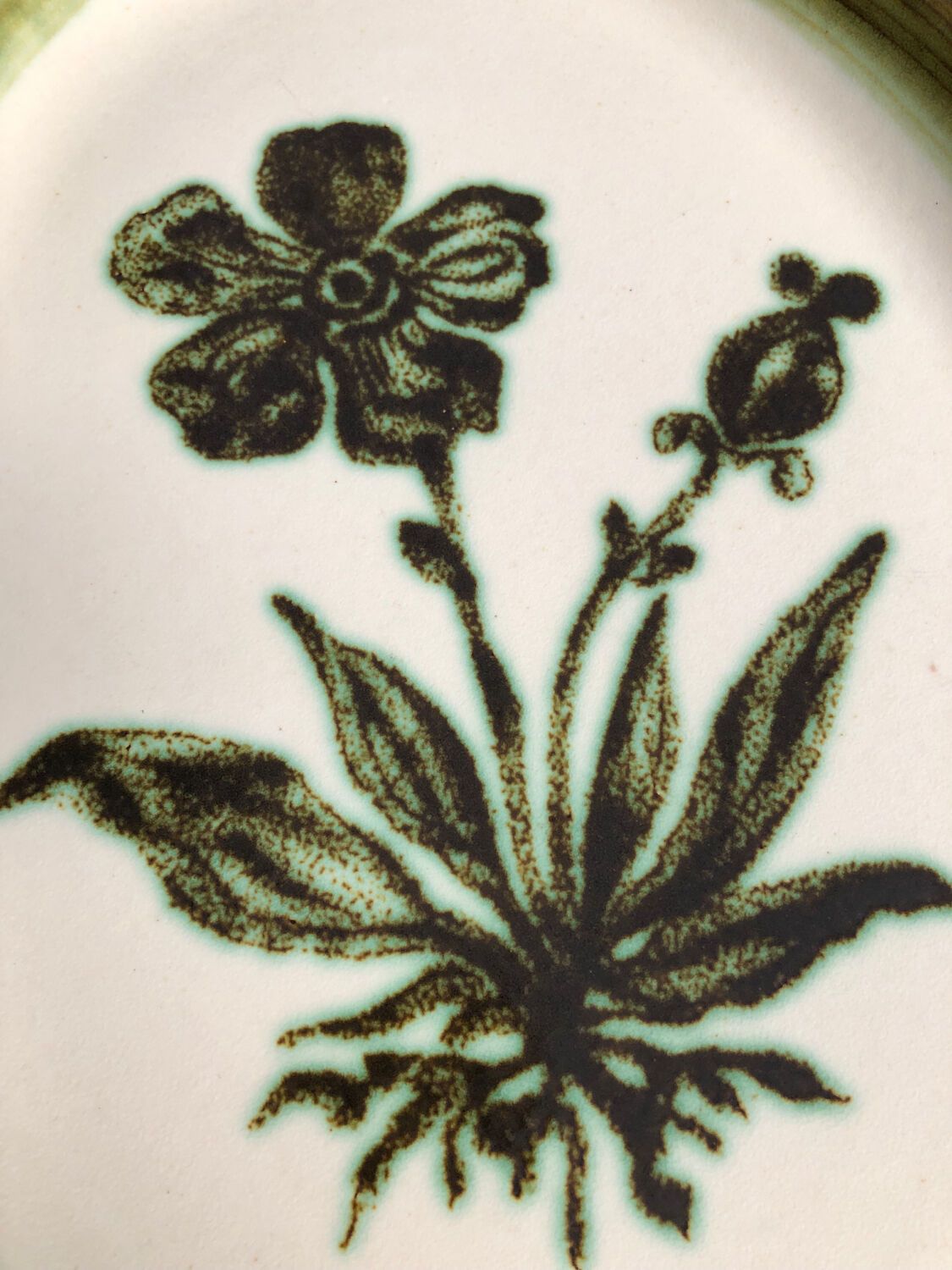 Gien oval dish Herbiers series