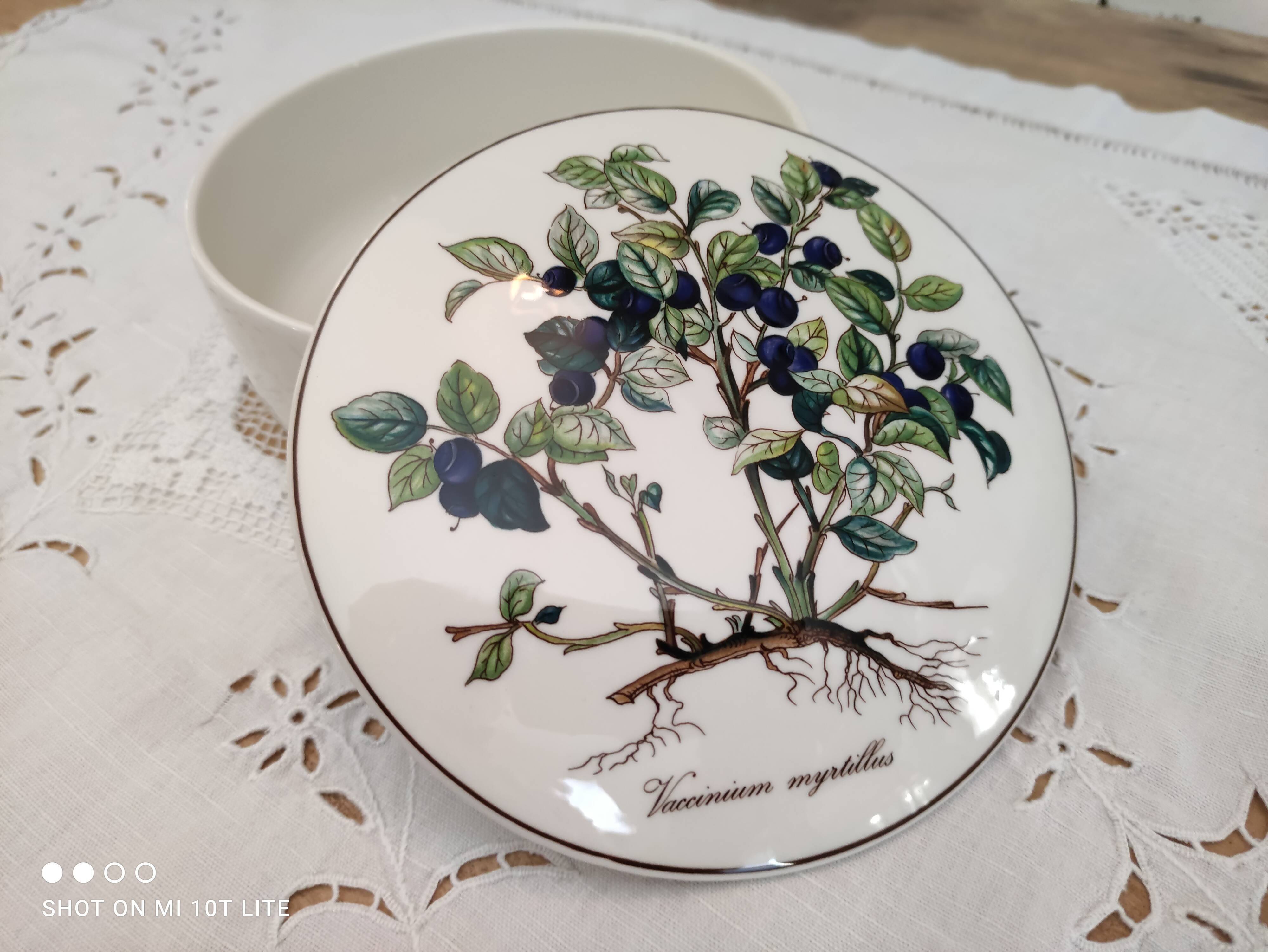 Porcelain box villeroy & boch model botanica "vaccinium myrtillus"