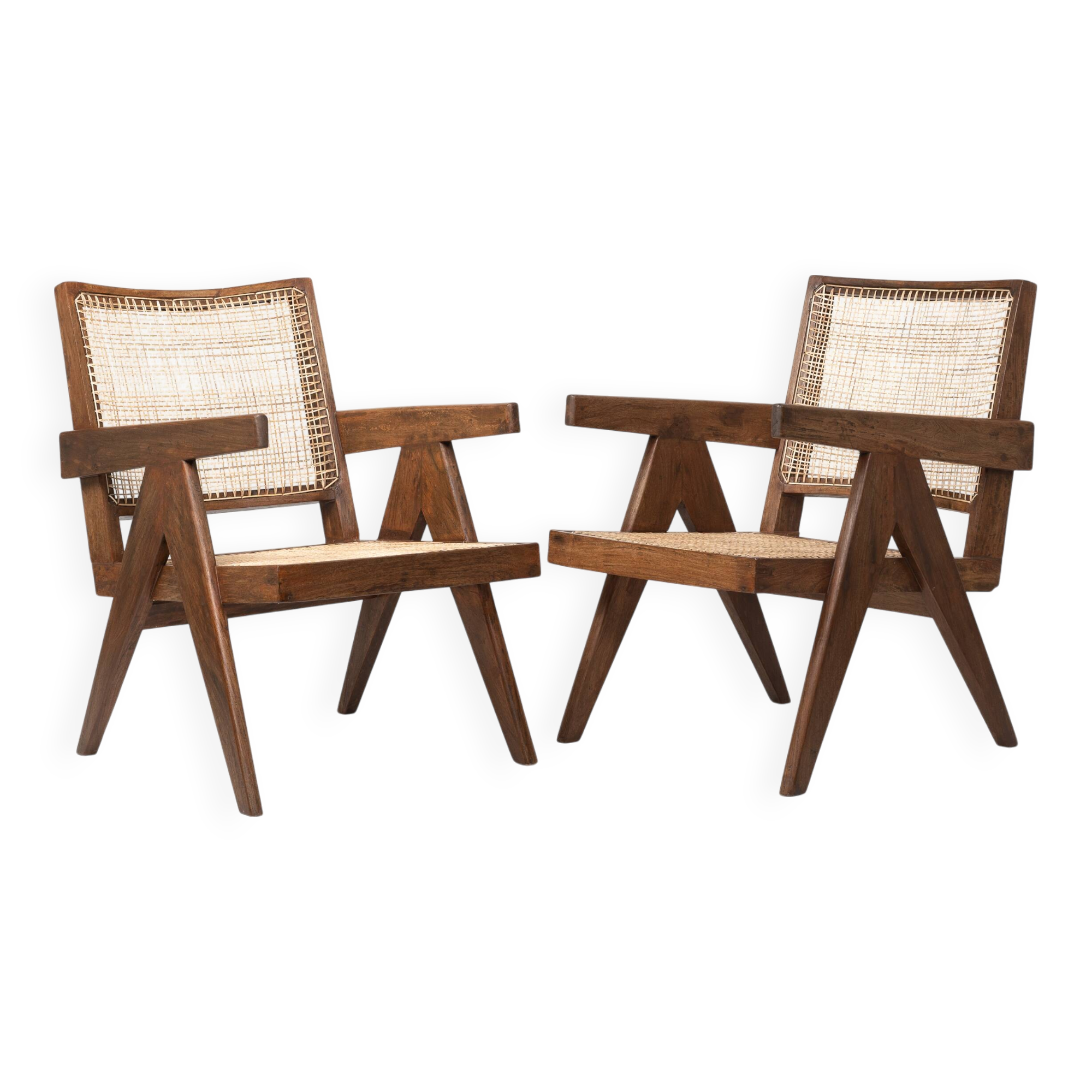 Pair of Easy Chair "Zoology"