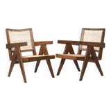 Pair of Easy Chair "Zoology"