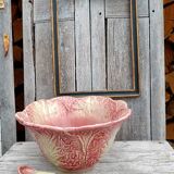 Pink cabbage slip salad bowl