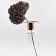 Giorgio Bonagura glass vase