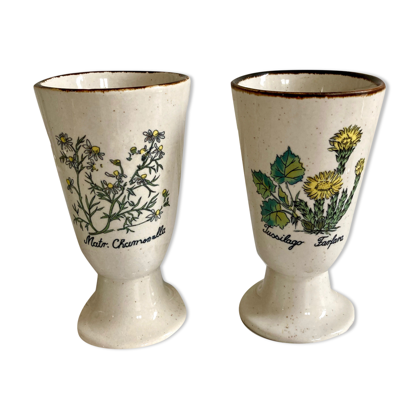 Paire de mazagrans tasses herbier