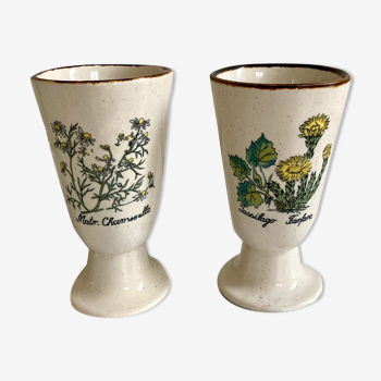 Mazagrans herbarium cups