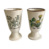 Mazagrans herbarium cups