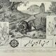 Old engraving 1898, Algeria, fauna and flora, Arabic • Lithograph, Original plate