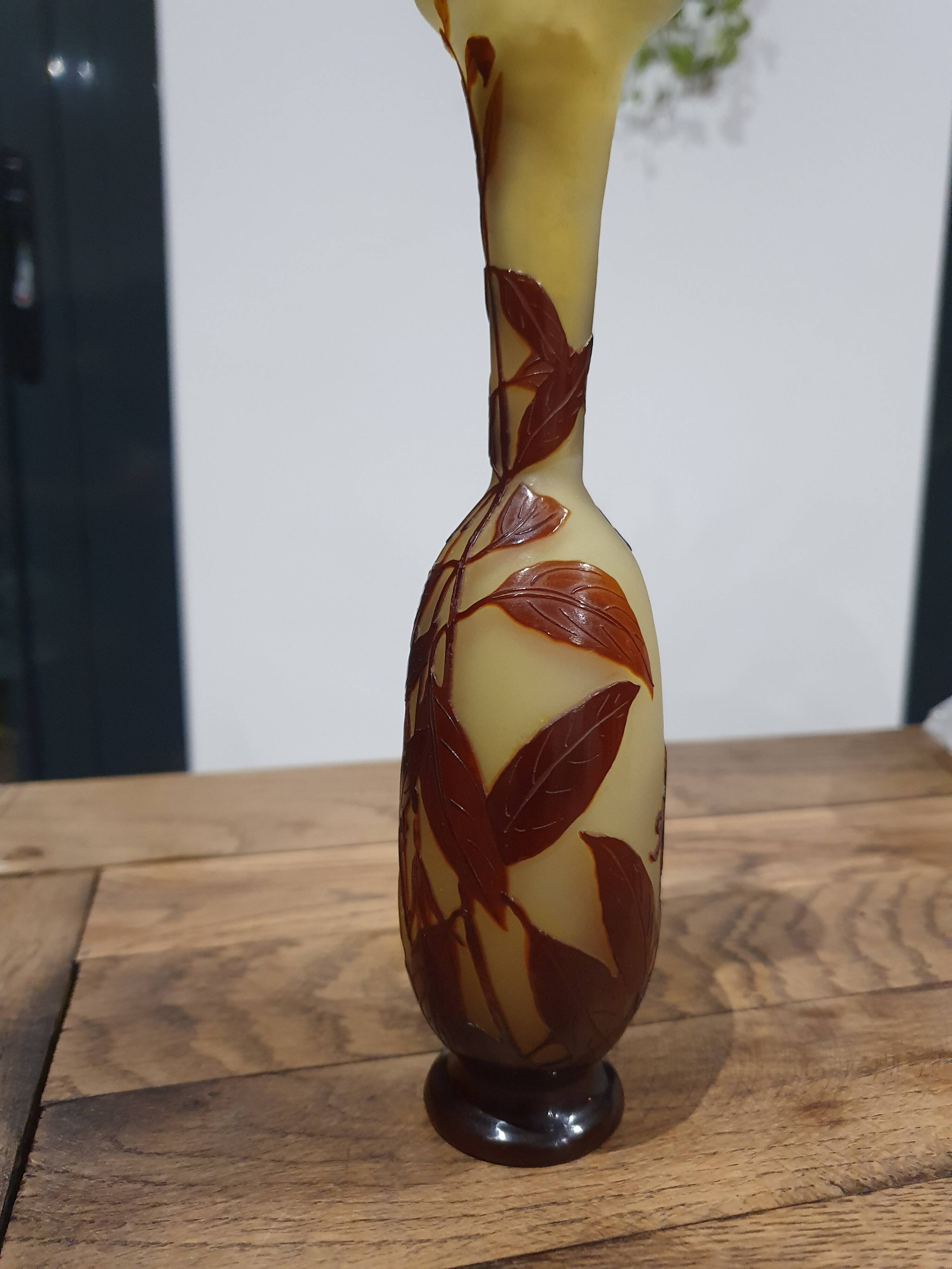 Vase in glass paste Emile Gallé Art Nouveau