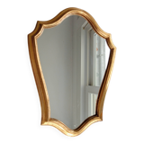 Pretty gilded wood mirror