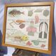 Educational poster of school frog and perch