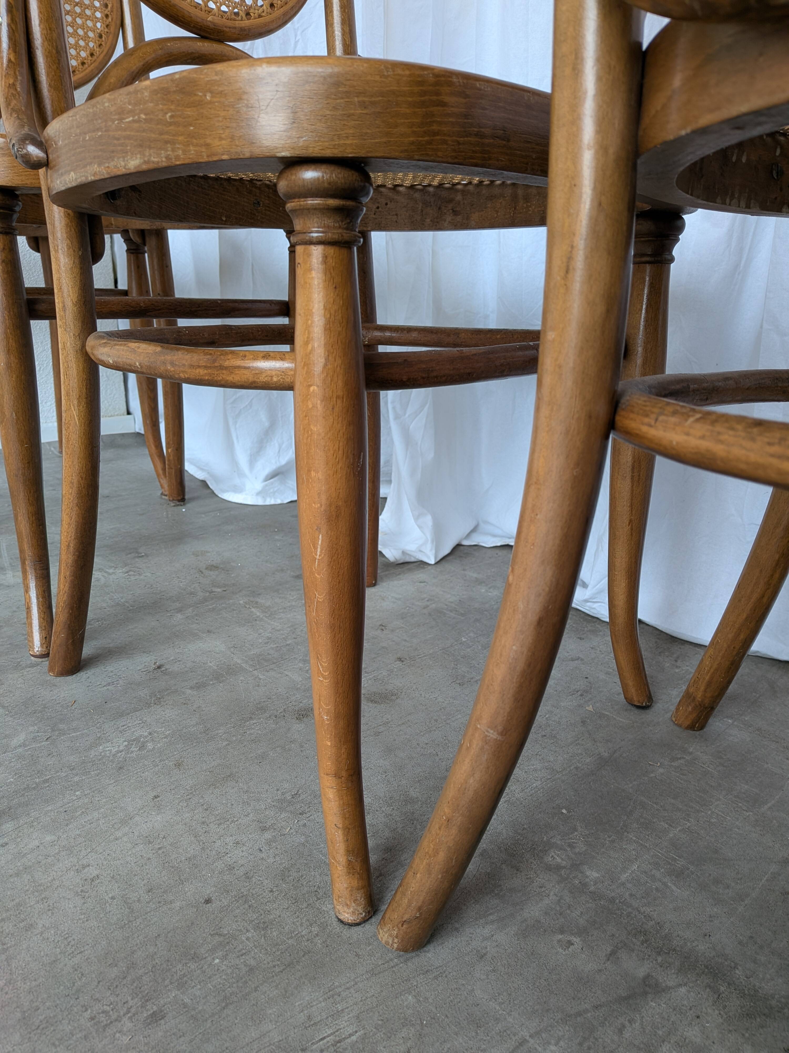 Set of 8 Vintage Bentwood Cane Dining Chair, Thonet Style, 1970s Yugoslavia