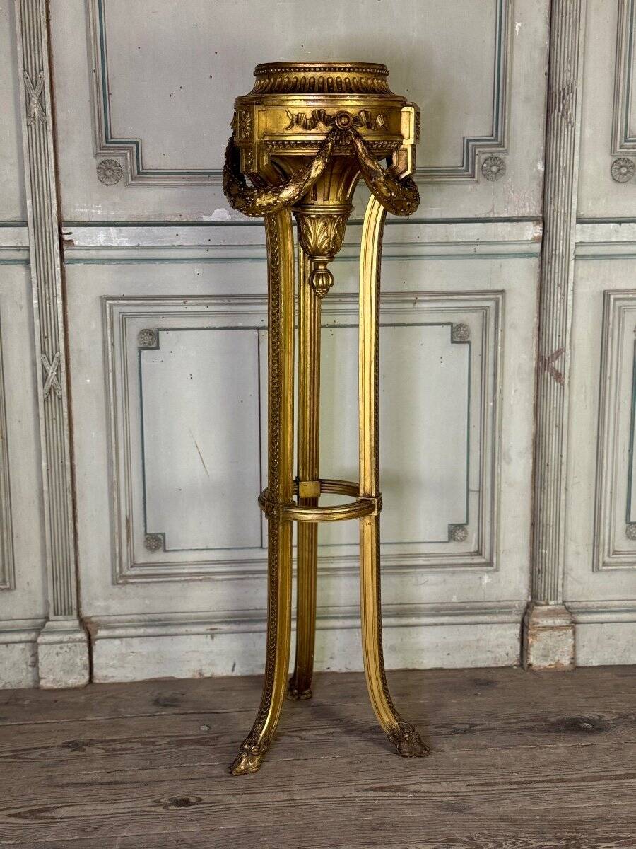 Louis XVI style planter in carved and gilded wood circa 1900