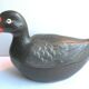 Old vintage terrine: blackened ceramic moorhen, CAUGANT production