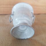 Medici vase lion's head