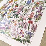 Affiche sur les fleurs, d'après une lithographie de 1922
