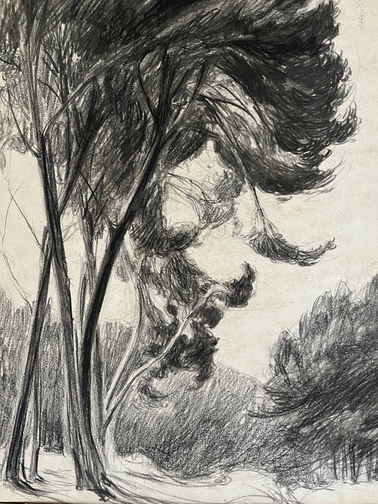 Paintings set of 8 drawings by Ed. Pannetier (1884-1965) Trees and landscapes