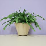 Vintage beige ceramic flower pot