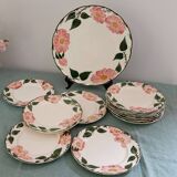 Set of 12 dessert plates + 1 cake plate Villeroy & Boch “Wild Rose”