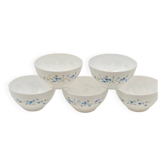 Series of 5 bowls arcopal france véronica, forget-me-nots, vintage