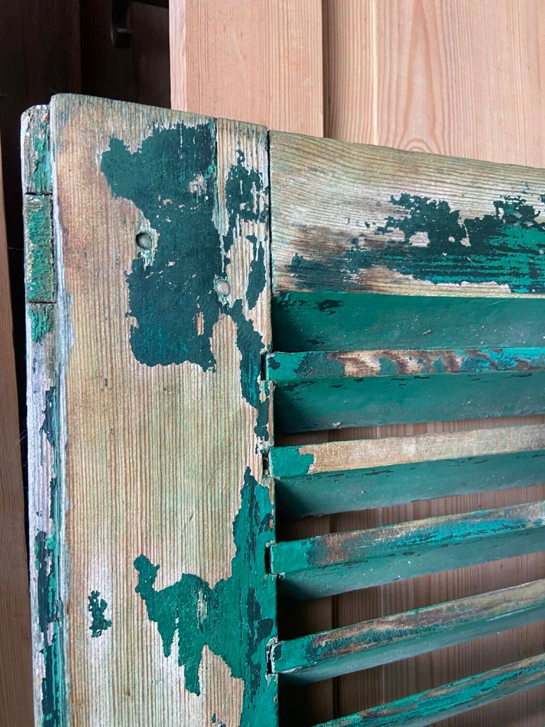 Old green shutter blinds