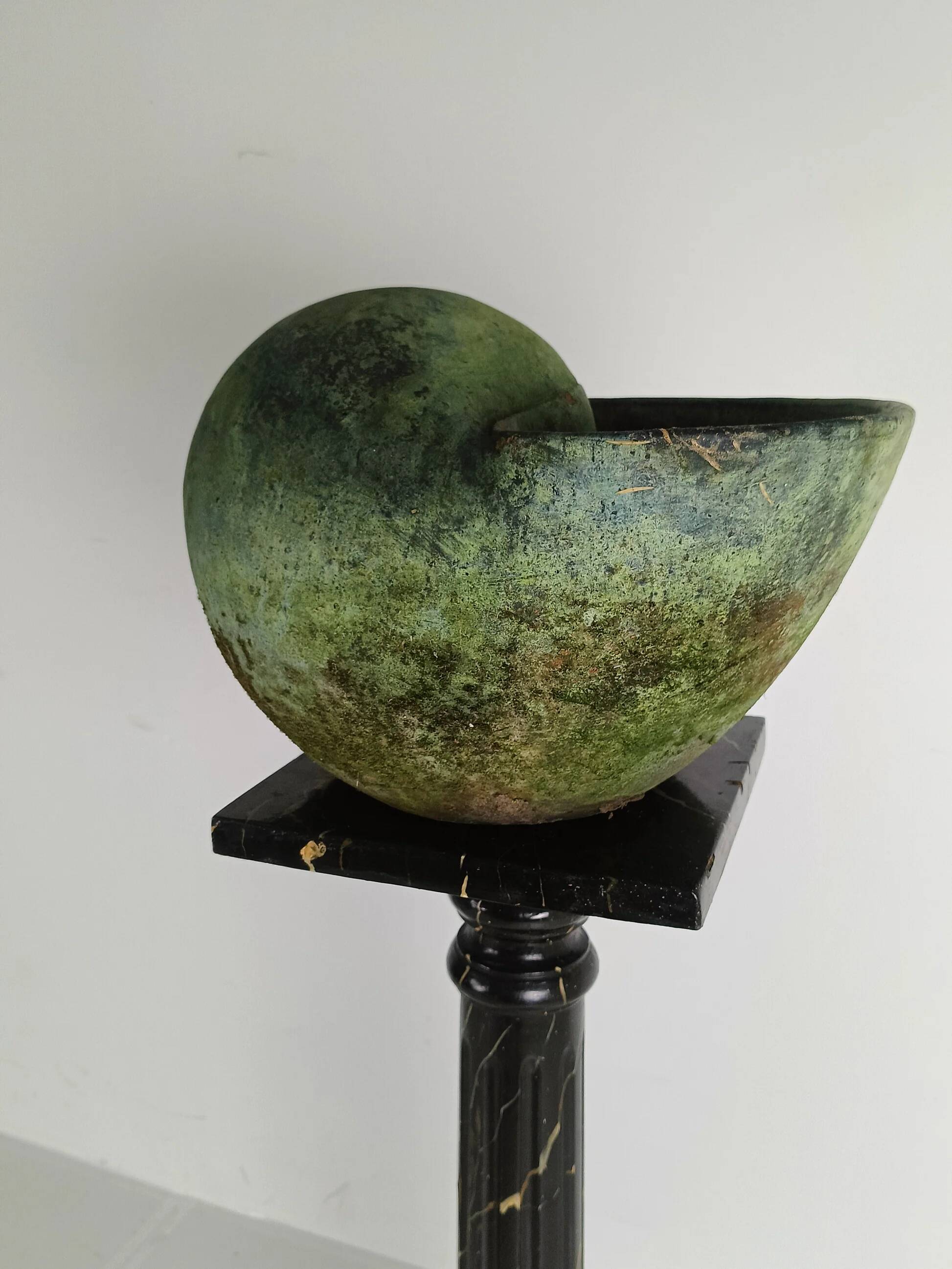 Beautiful terracotta cochlea with amazing patina