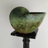 Beautiful terracotta cochlea with amazing patina