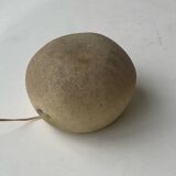Dora Cazenave pebble lamp workshop A 1960