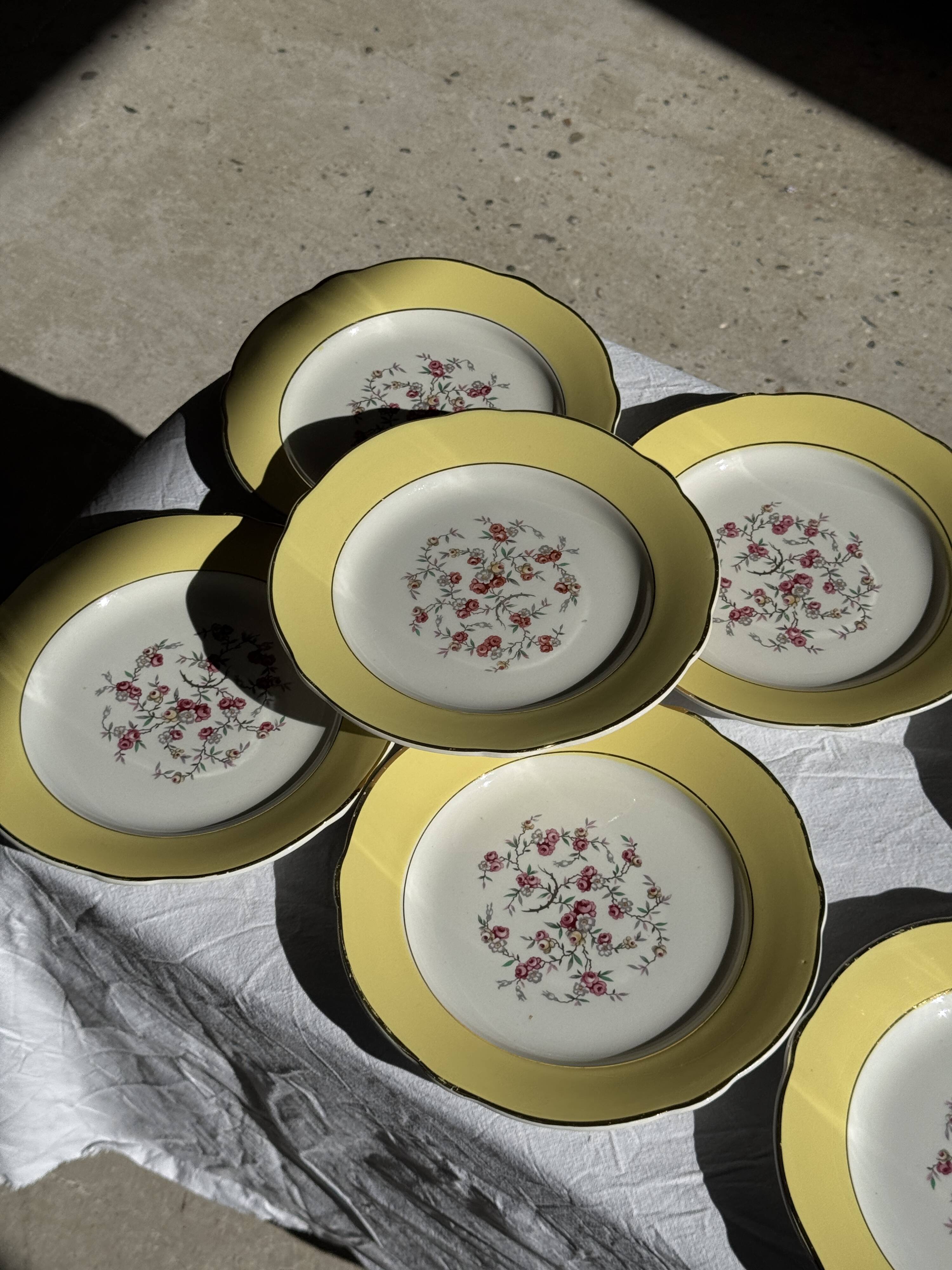 Lot de 19 grandes assiettes plates vintage jaunes fleurs roses liseré doré